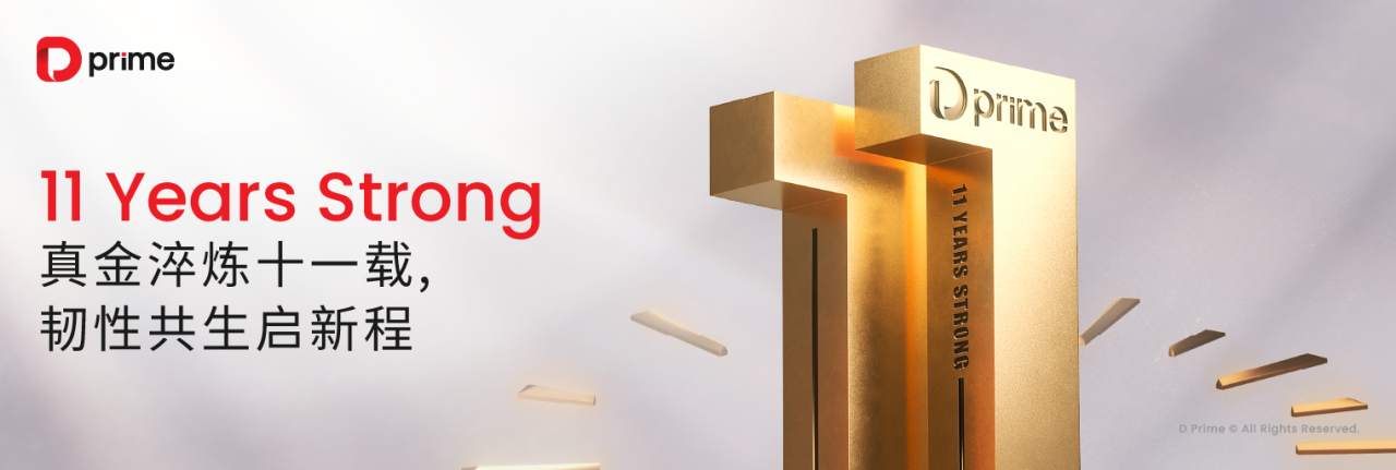 D Prime 十一周年丨真金淬炼十一载,韧性共生启新程