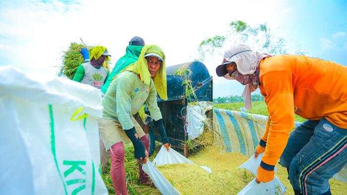 Komisi IV DPR Nilai Kebijakan Pangan Era Prabowo Sangat Baik