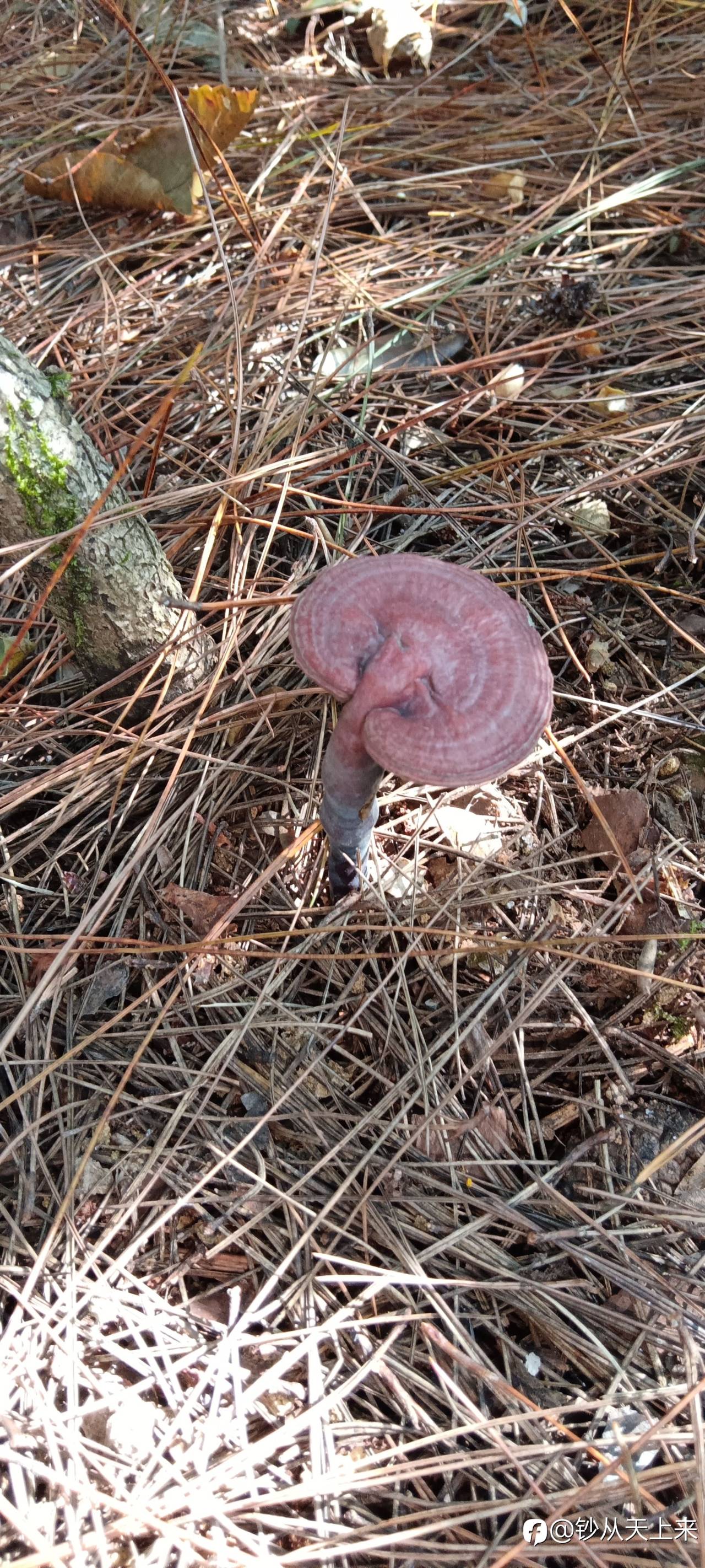 feed-image-2