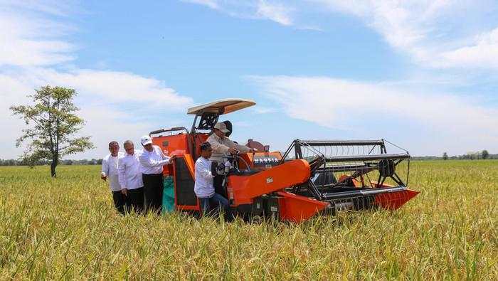 Harga Beras Turun di Semua Segmen, 2 Bulan Berturut-turut Terjadi Deflasi