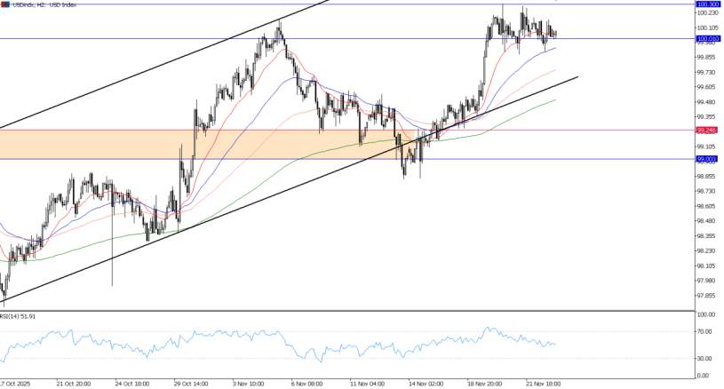 2025年11月25日市场报告