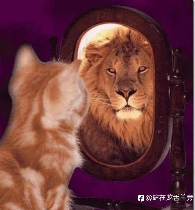 为什么我建议长期持仓？