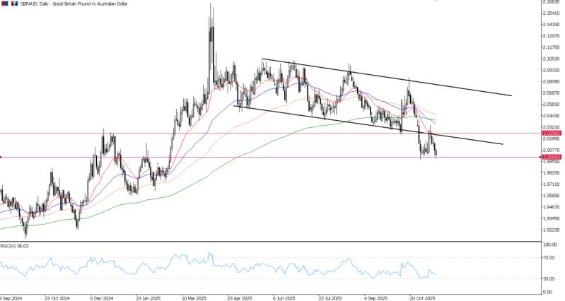2025年11月13日市场报告