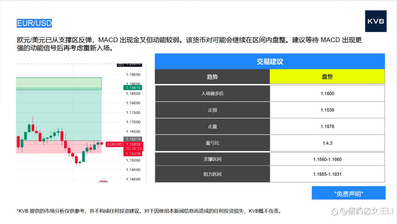 市场分析 2025年 11 月 13 日#Netflix NFLX #USD/CHF #EUR/USD #LTC/USD