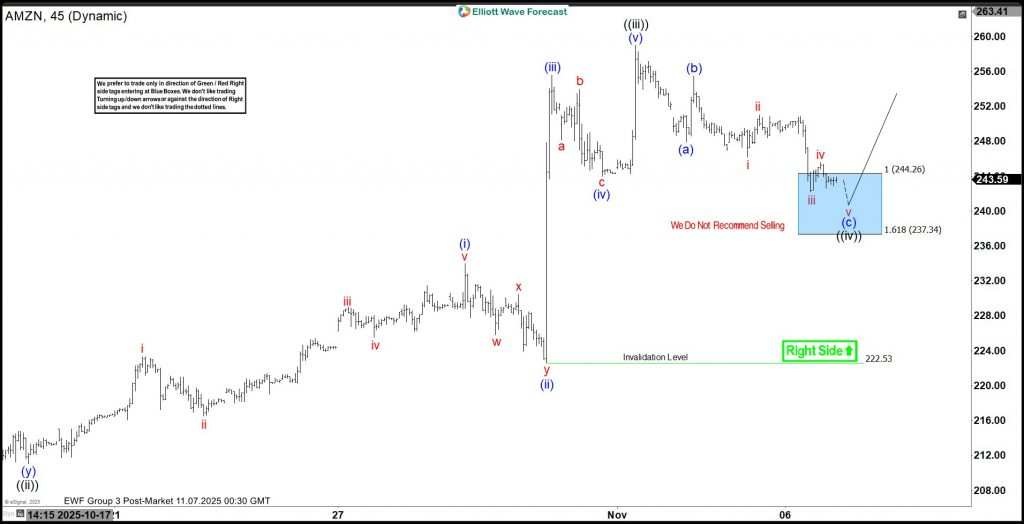 AMZN Extends Bullish Cycle From Blue Box– More Upside Ahead
