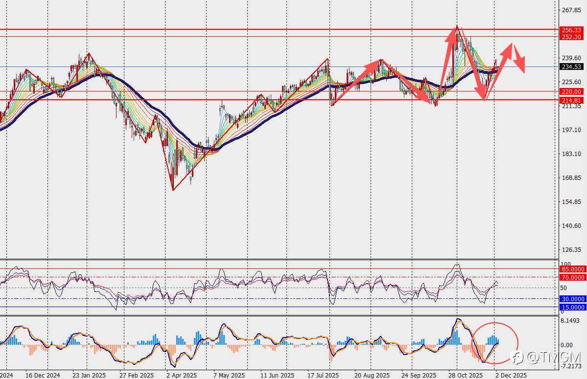 TMGM每日市场12月03日