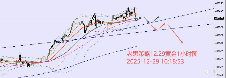 老黑策略：12.29外汇、黄金、原油分析策略