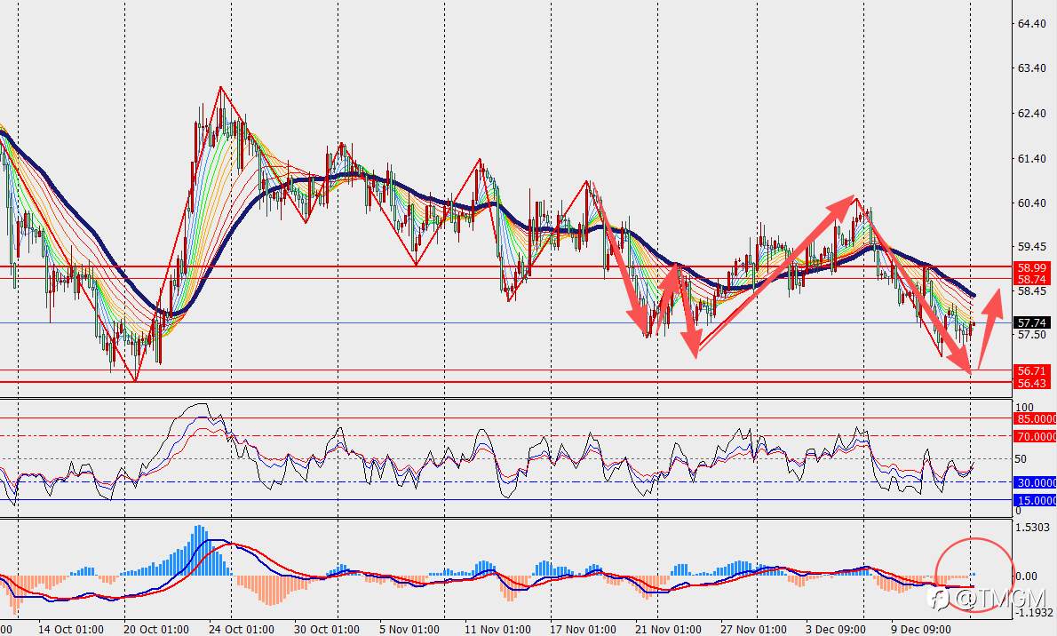 TMGM每日市场12月15日