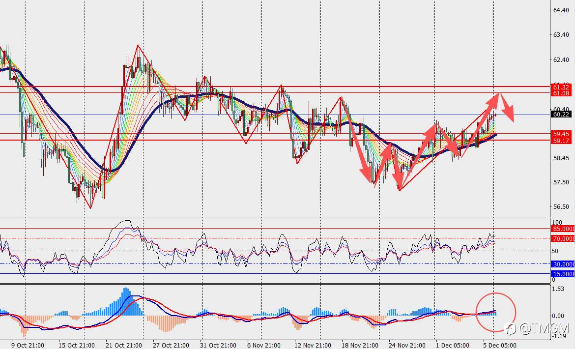 TMGM每日市场12月08日
