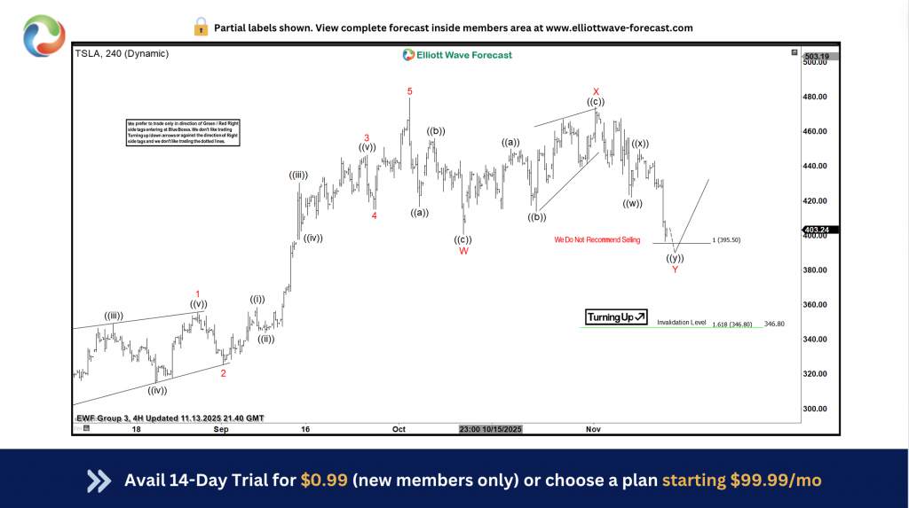 TSLA Rally Nears $500 After Successful Dip-Buying Opportunity
