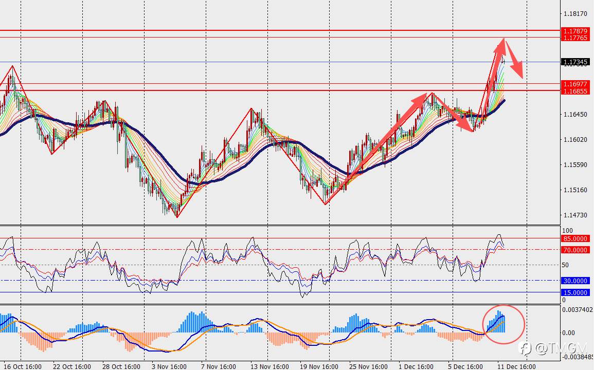 TMGM每日市场12月12日