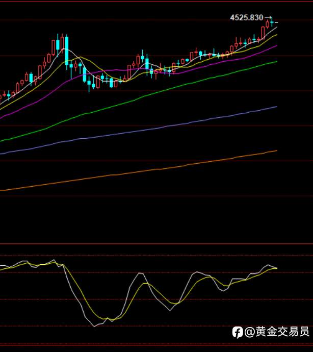 炸裂了！属于贵金属的2025