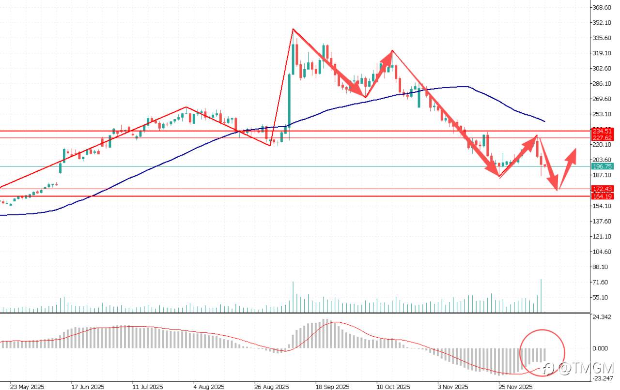 TMGM每日市场12月12日