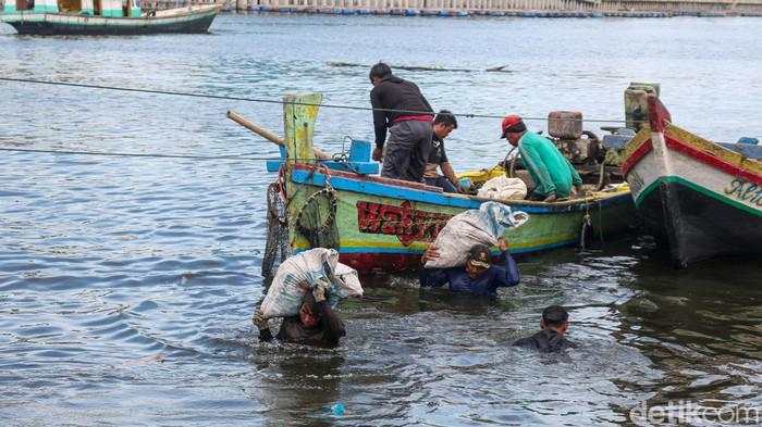 Denyut Ekonomi Pesisir Cilincing Tetap Hidup di Tengah Tumpukan Cangkang Kerang
