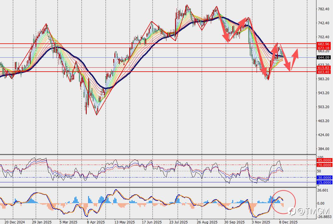 TMGM每日市场12月11日