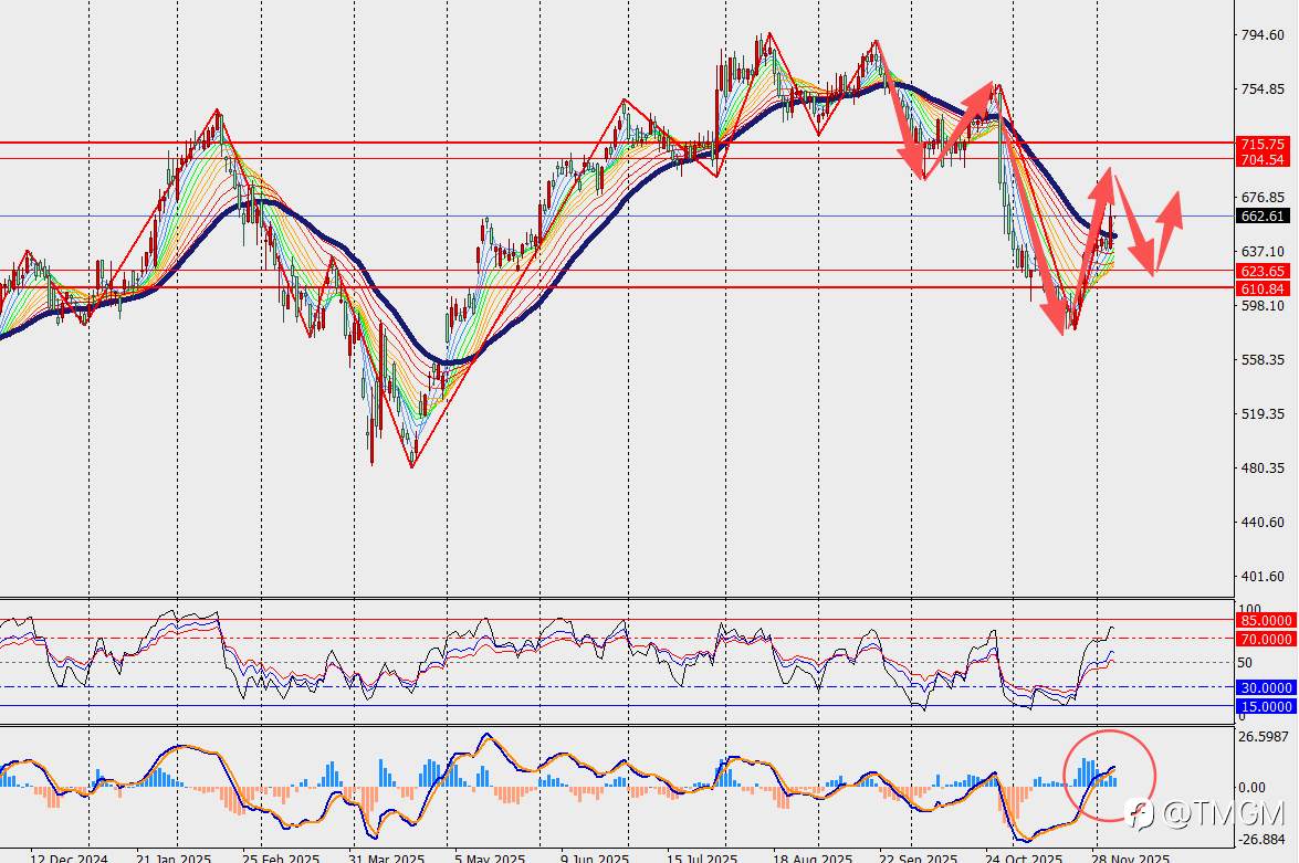 TMGM每日市场12月05日