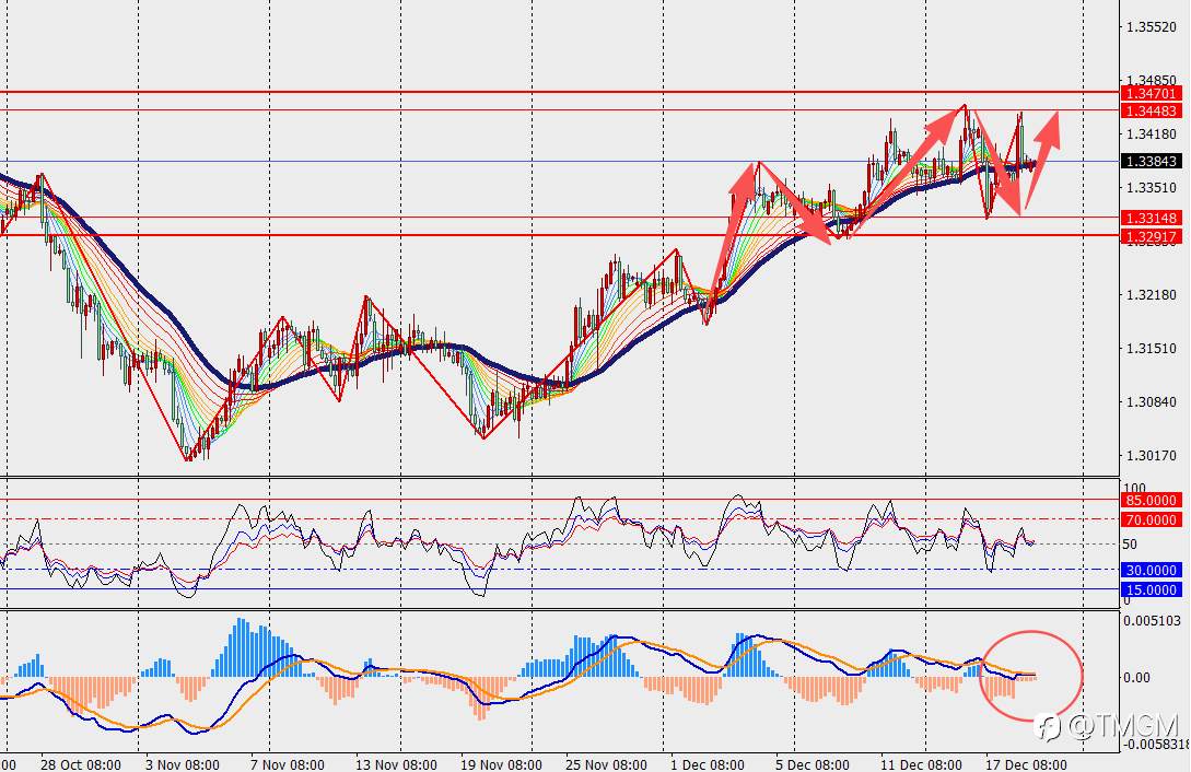TMGM每日市场12月19日