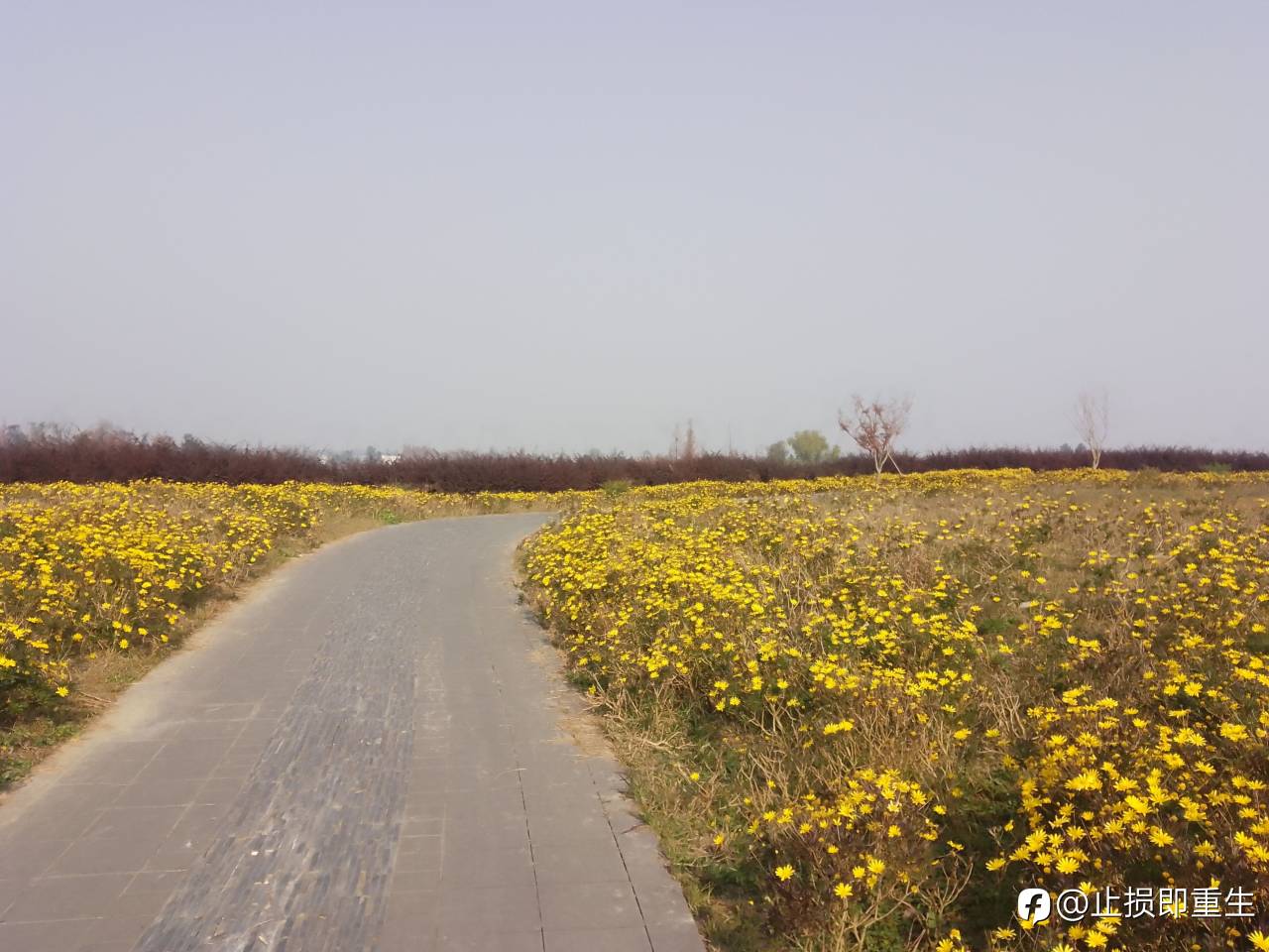 feed-image-3