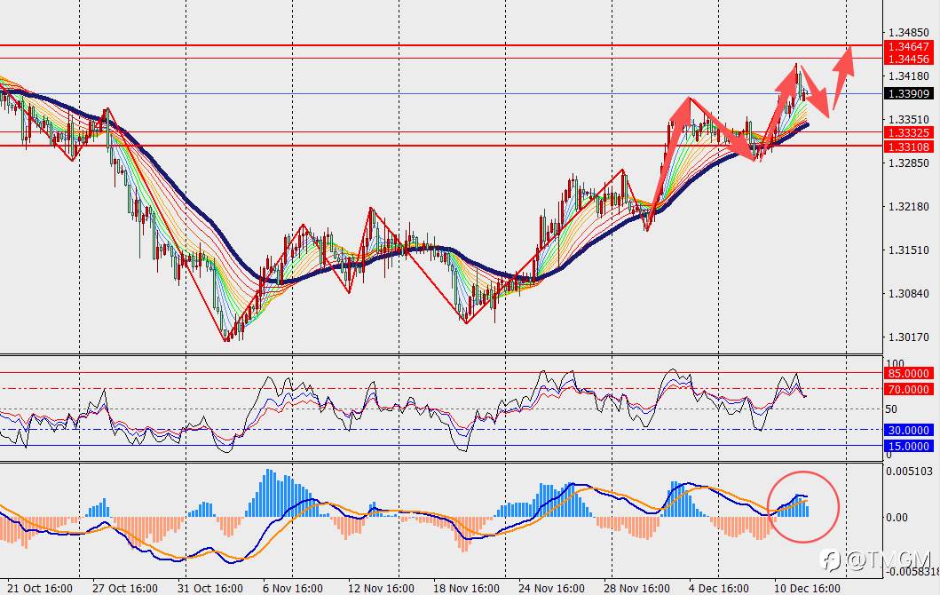 TMGM每日市场12月12日