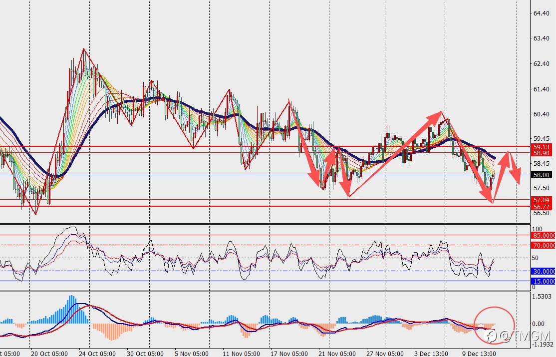 TMGM每日市场12月12日