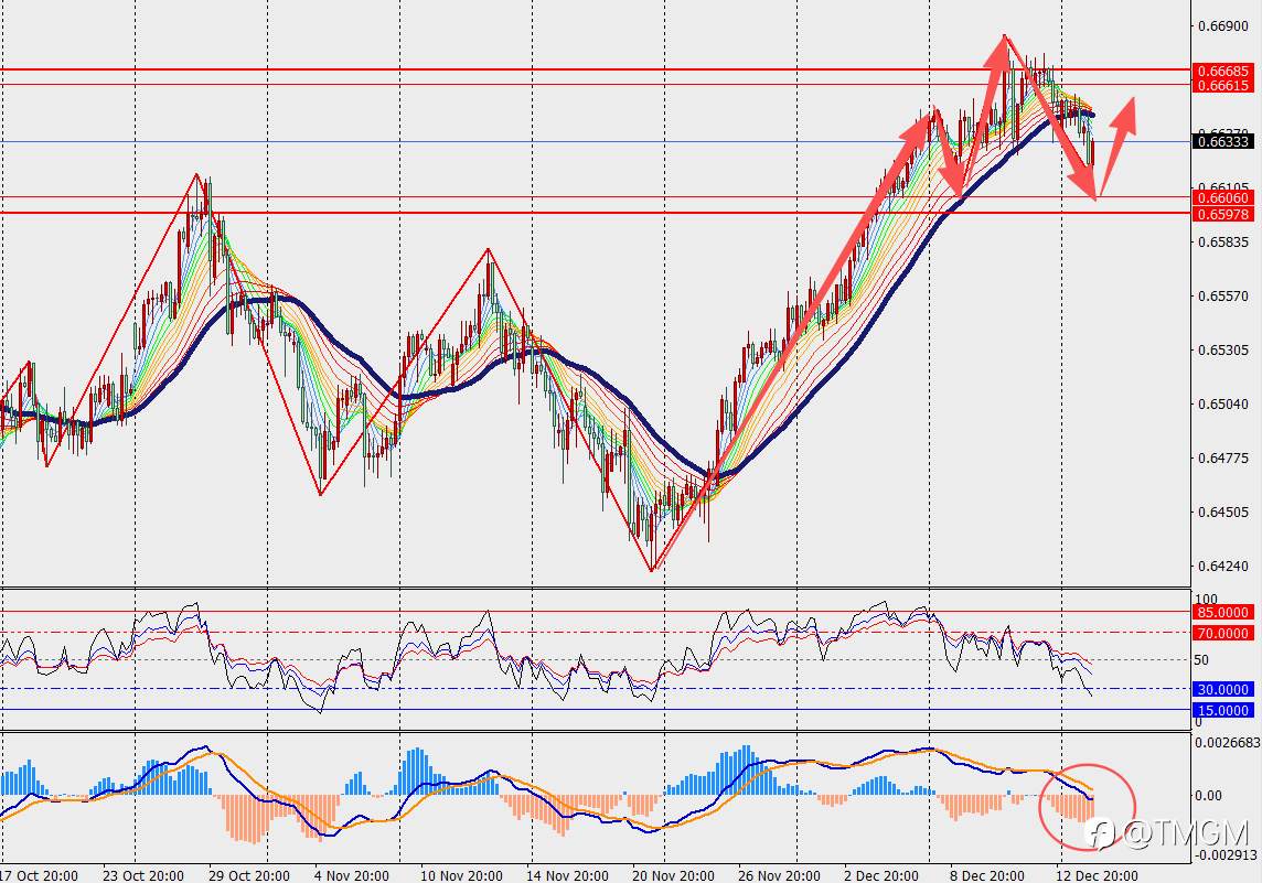 TMGM每日市场12月16日