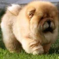 太有实力了,11月单笔盈利22万美元!