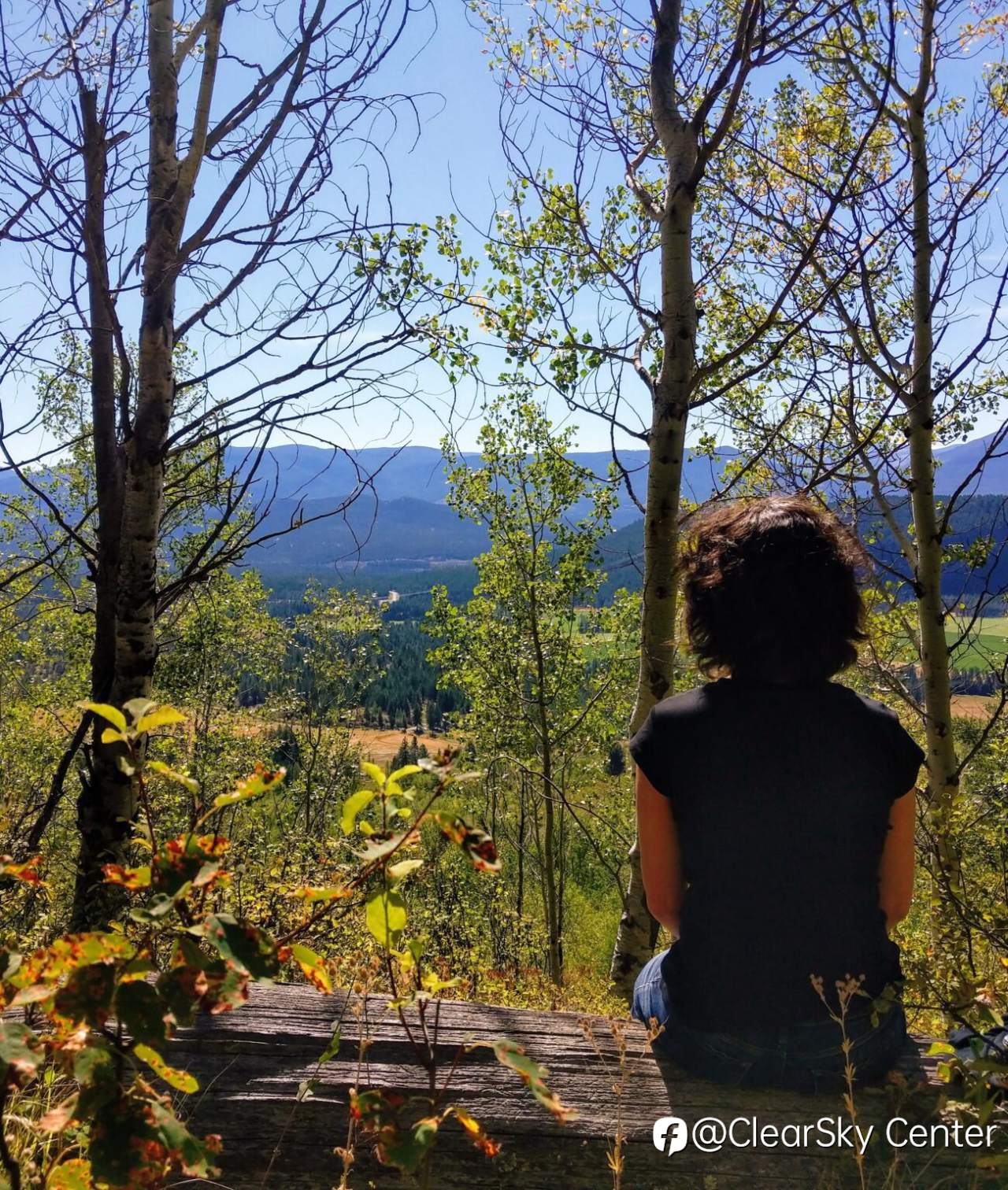 Reconnect with Your True Self: Private Silent Meditation Retreat in the Canadian Rockies
