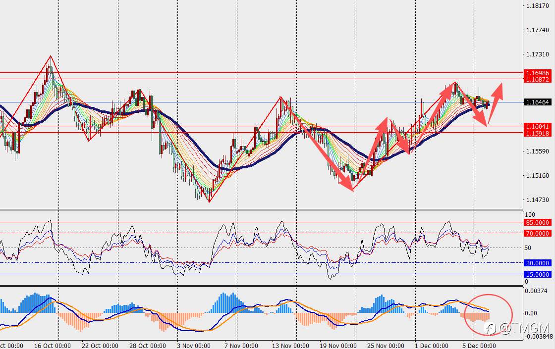 TMGM每日市场12月09日