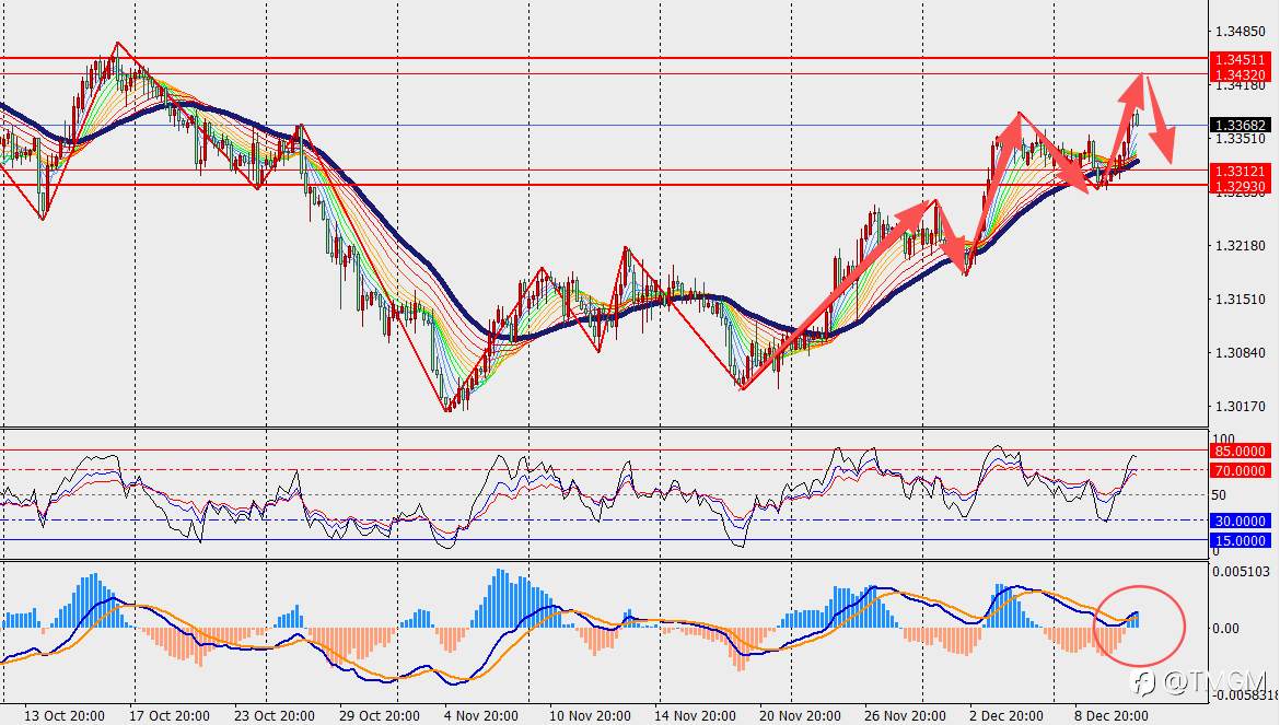 TMGM每日市场12月11日