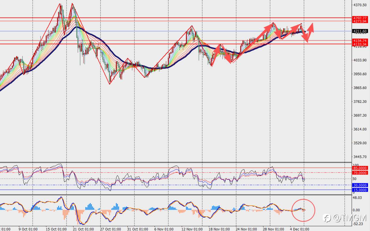 TMGM每日市场12月08日