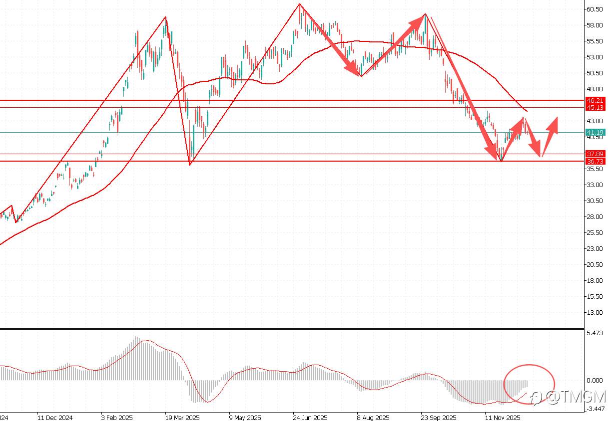 TMGM每日市场12月10日