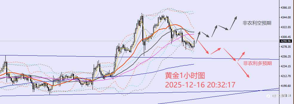 老黑策略:12.16晚盘外汇、黄金、原油分析策