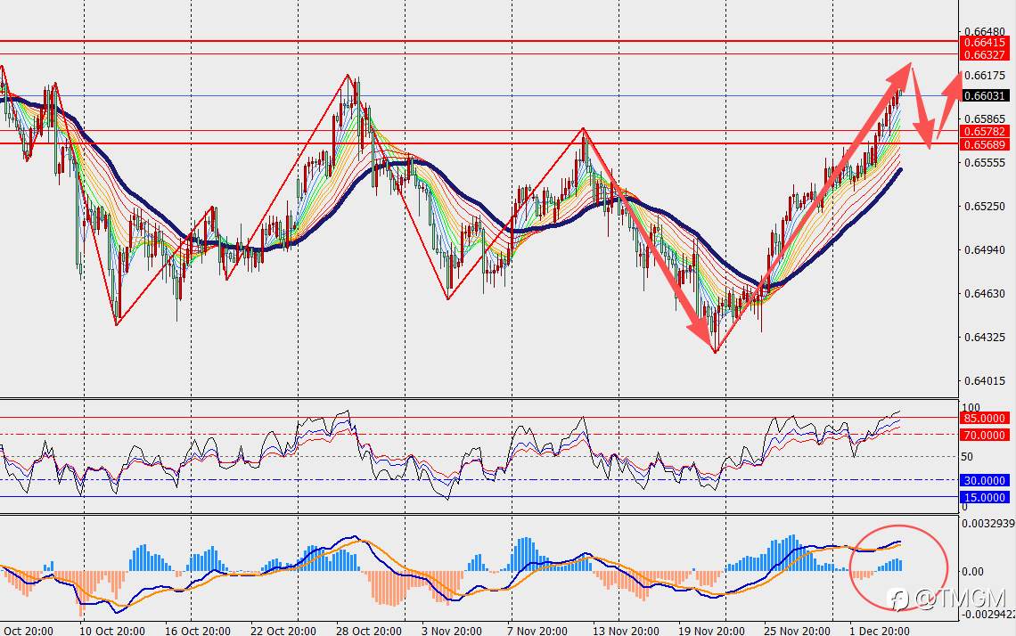 TMGM每日市场12月04日