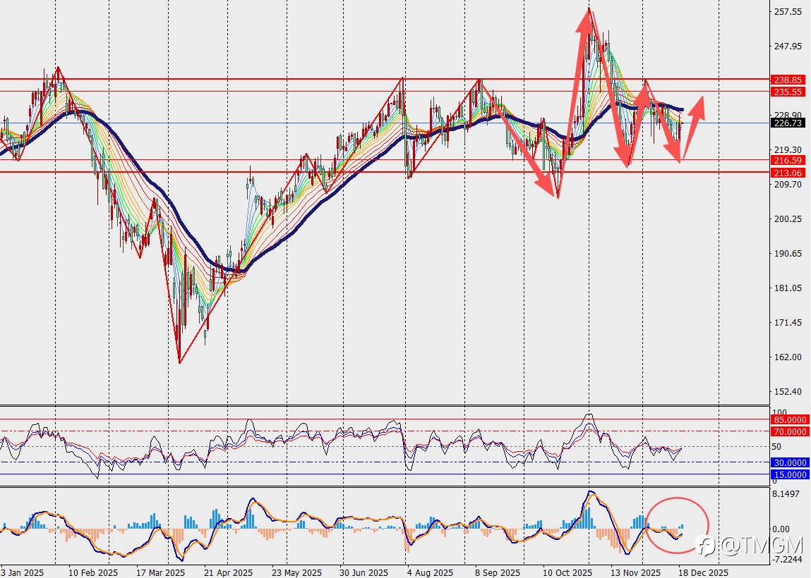 TMGM每日市场12月19日