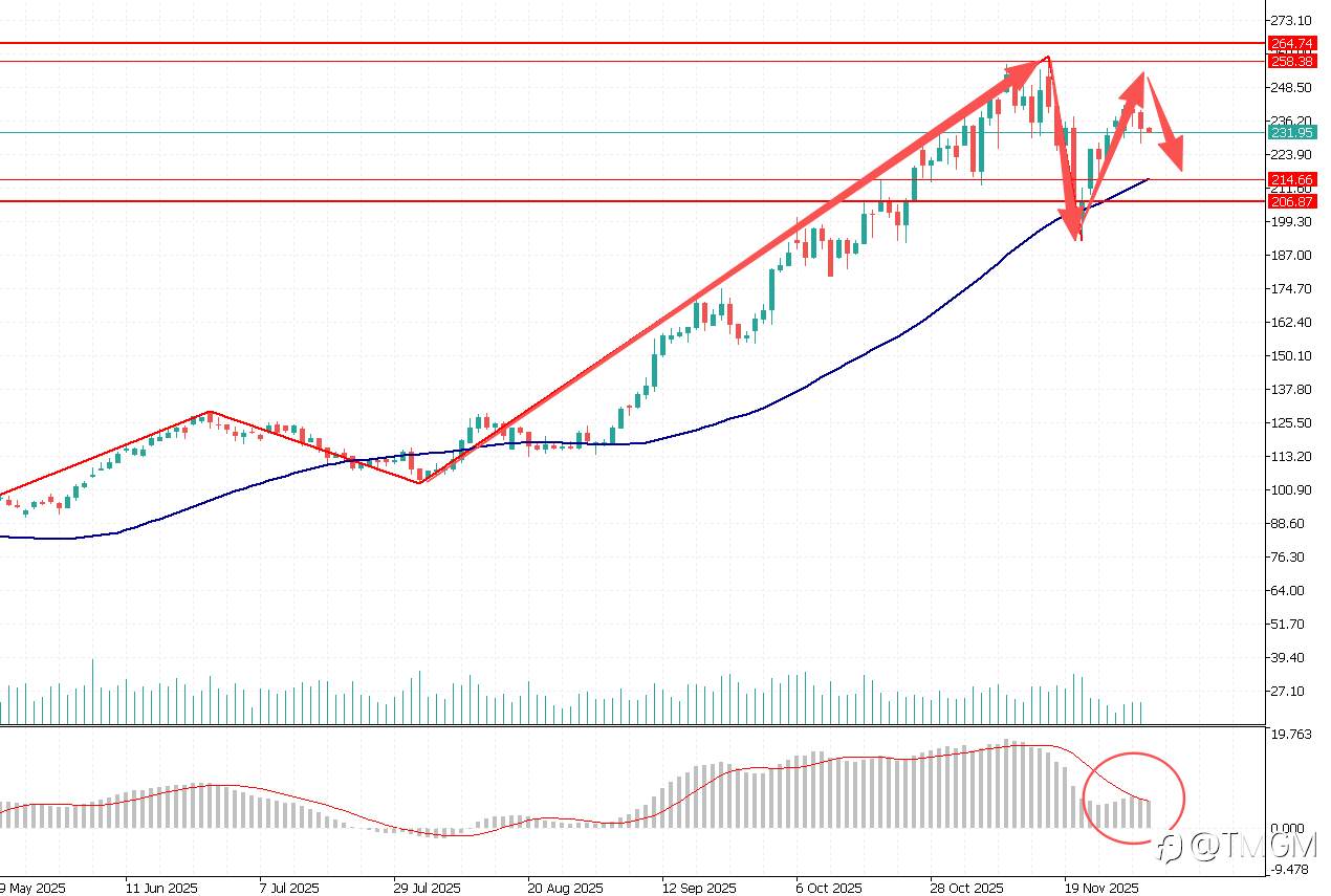 TMGM每日市场12月04日
