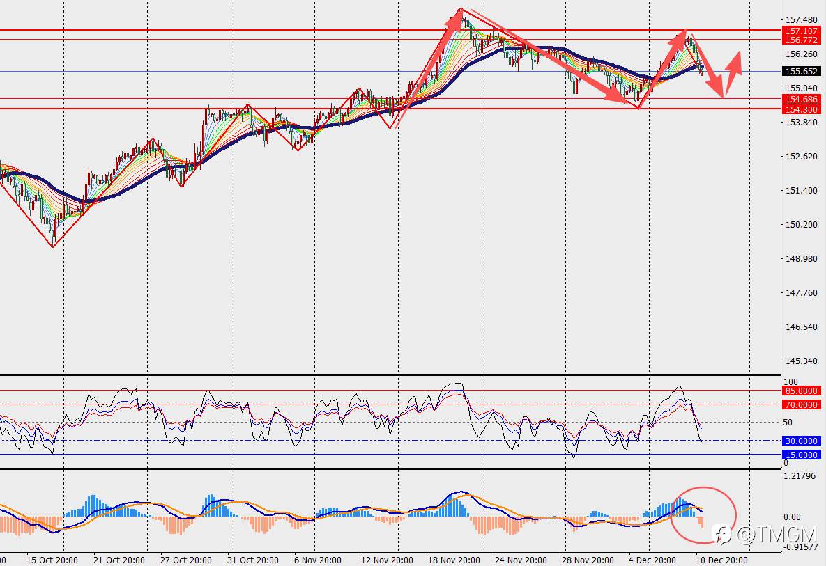 TMGM每日市场12月11日