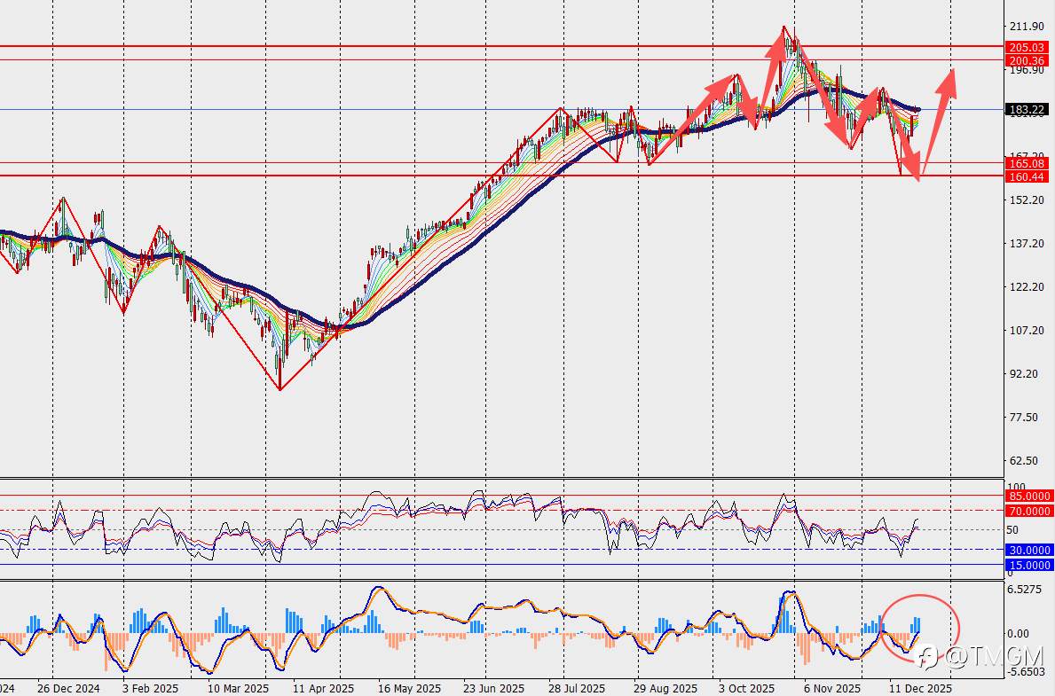 TMGM每日市场12月23日