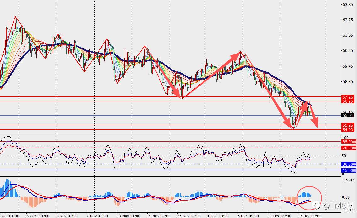 TMGM每日市场12月19日