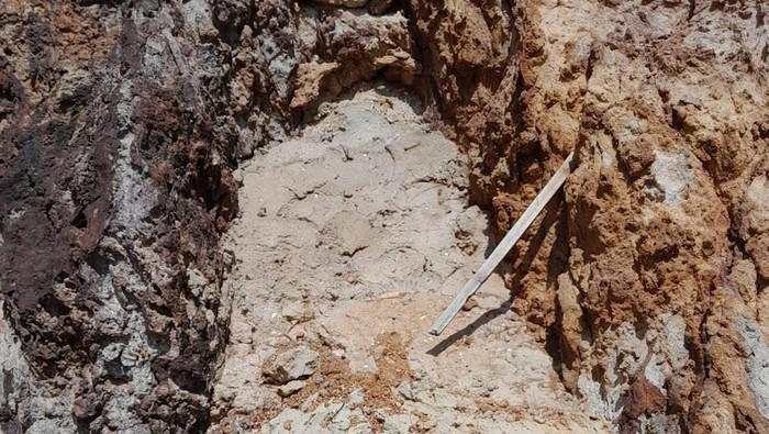 KPK Ungkit Tambang Emas Ilegal di Sekitar TN Komodo, ESDM: Ada Bukaan Lahan