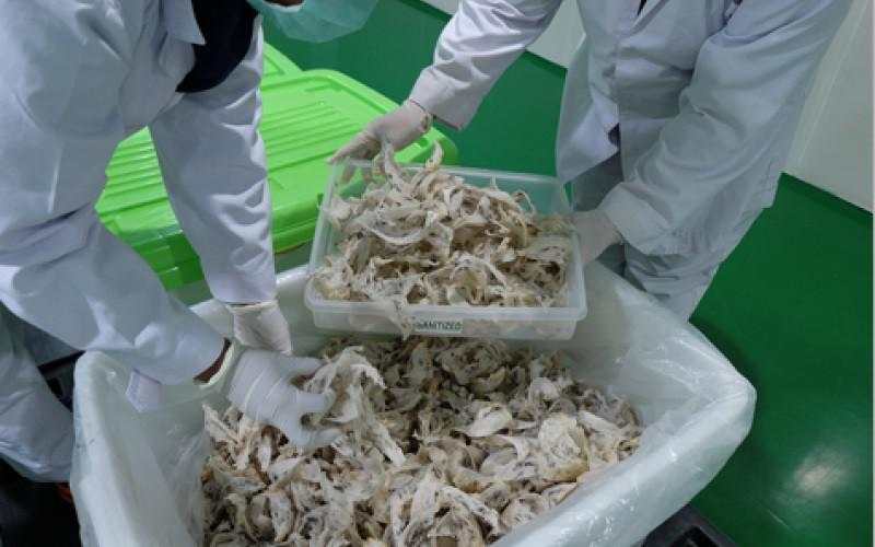 RLCO Tetapkan Harga IPO di Batas Atas, Besok Batas Akhir Pemesanan