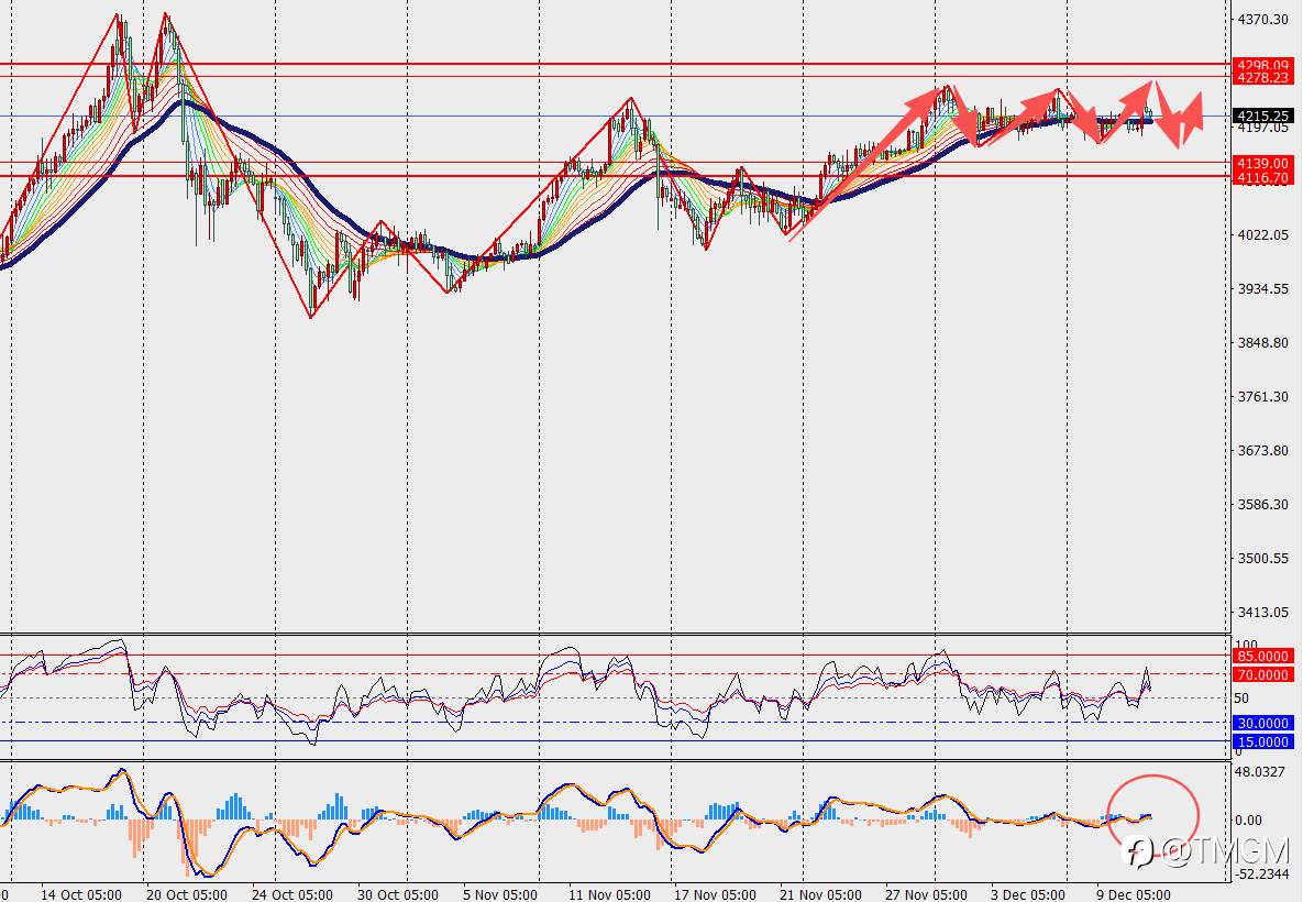 TMGM每日市场12月11日