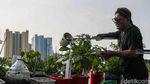 Pangan Mandiri dari Atap Rumah, Warga Sunter Jaya Kembangkan Kebun Hidroponik