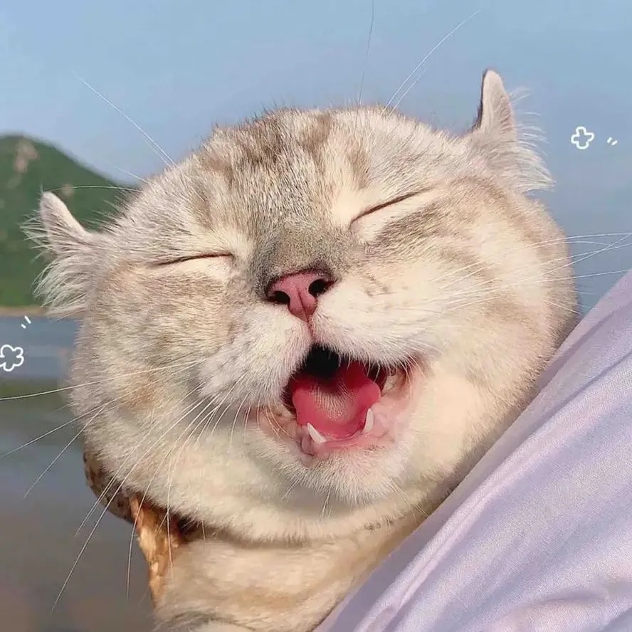 太有实力了，11月单笔盈利22万美元！