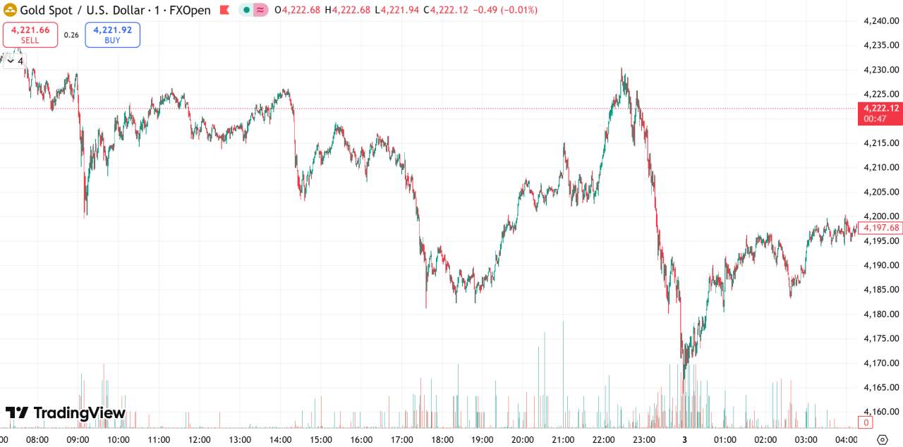 每日汇评 | 投资者获利了结，金价回落至4200关口