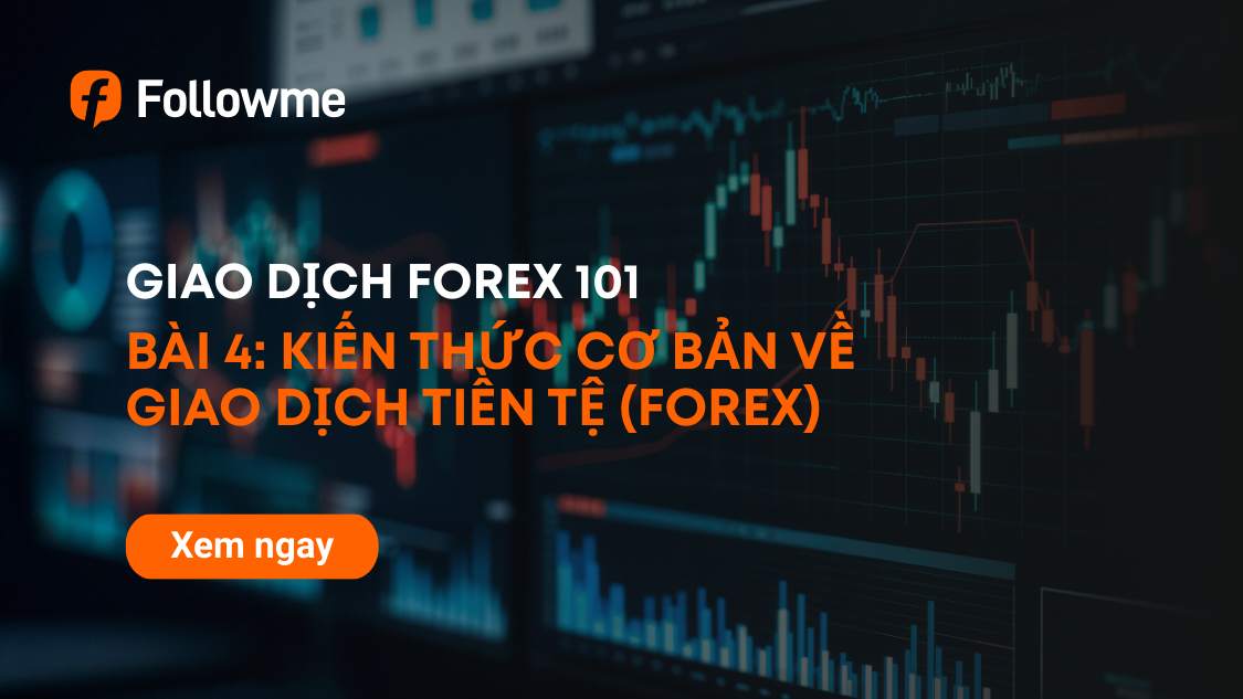 TRADING 101 – BÀI 4: KIẾN THỨC CƠ BẢN VỀ GIAO DỊCH TIỀN TỆ (FOREX)