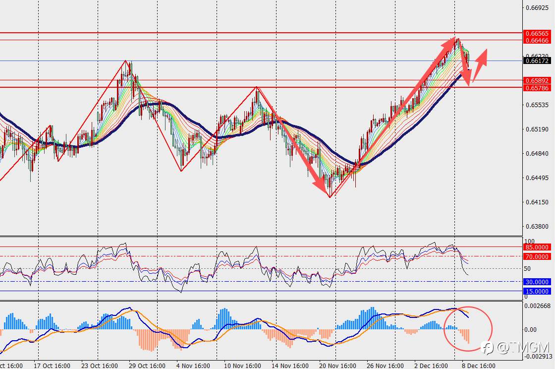 TMGM每日市场12月09日