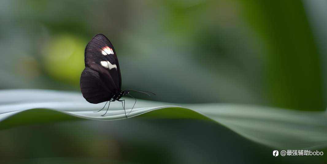 2025总结1：学会把知道变成认知，再转换为财富