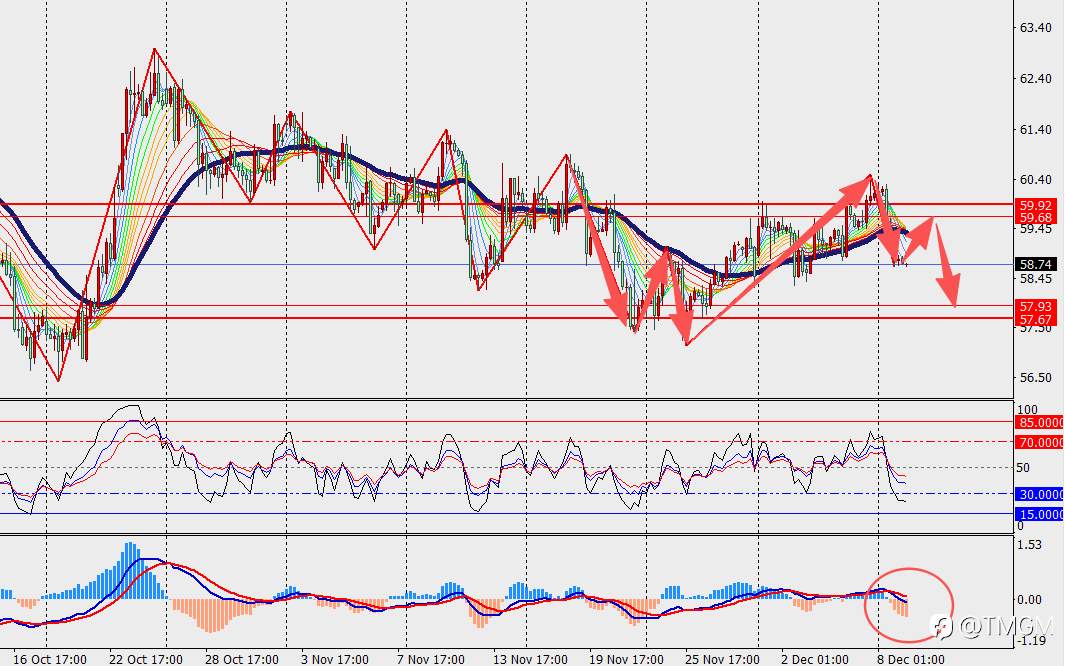 TMGM每日市场12月09日