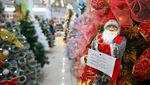Berburu Pohon Natal, Harga Mulai Rp300 Ribu hingga Puluhan Juta