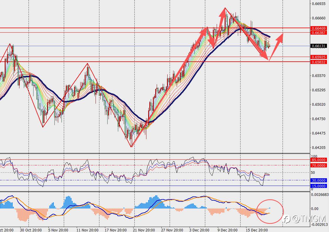 TMGM每日市场12月19日